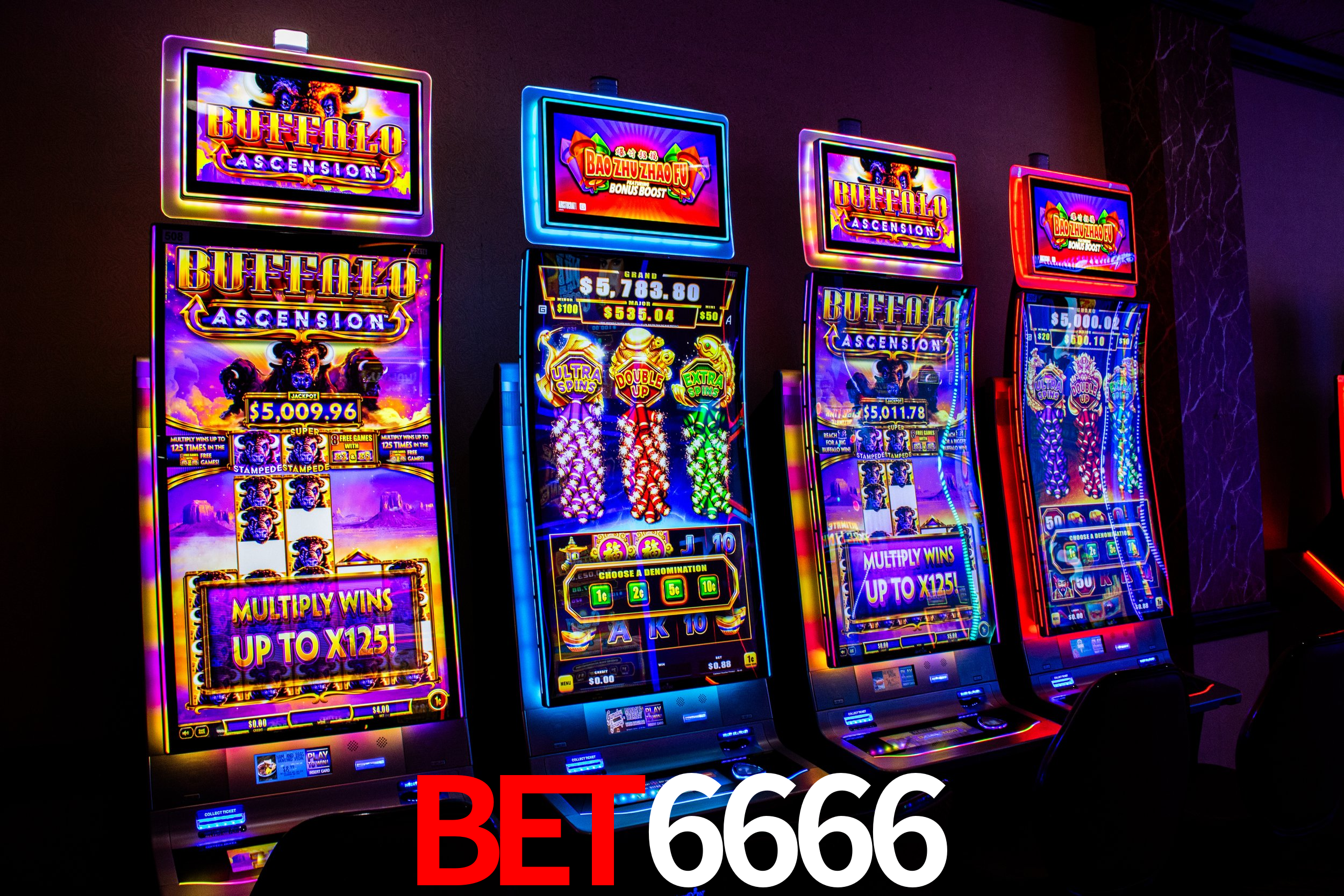 Bet6666